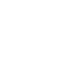 Flight Icon